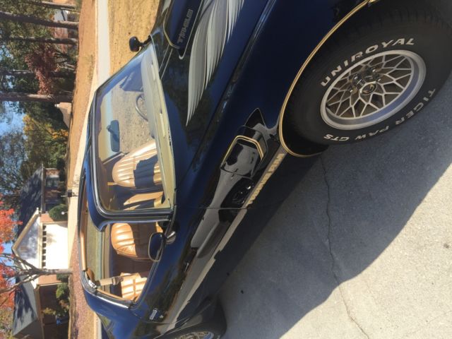 1979 Pontiac Trans Am FIREBIRD