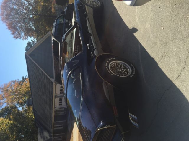 1979 Pontiac Trans Am FIREBIRD - photo 3