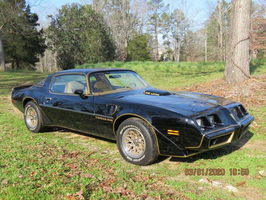 1979 Pontiac Trans Am Firebird - photo 10