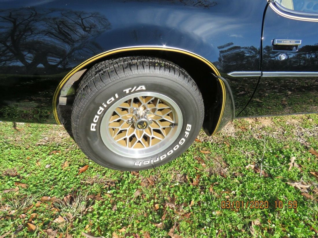 1979 Pontiac Trans Am Firebird - photo 11