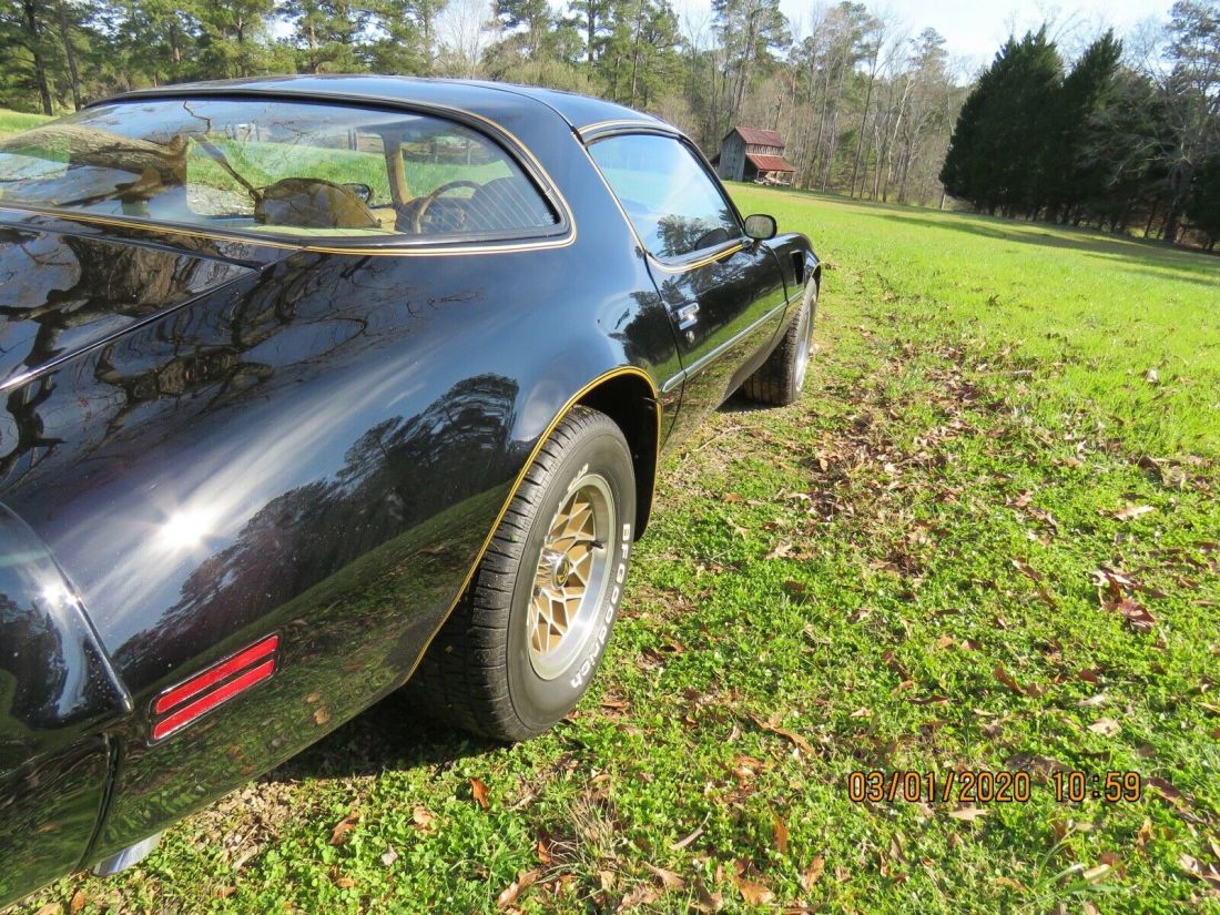 1979 Pontiac Trans Am Firebird - photo 12