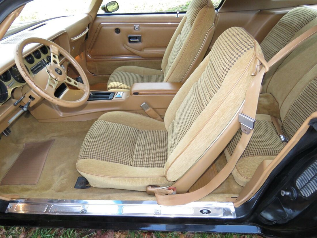 1979 Pontiac Trans Am Firebird - photo 13