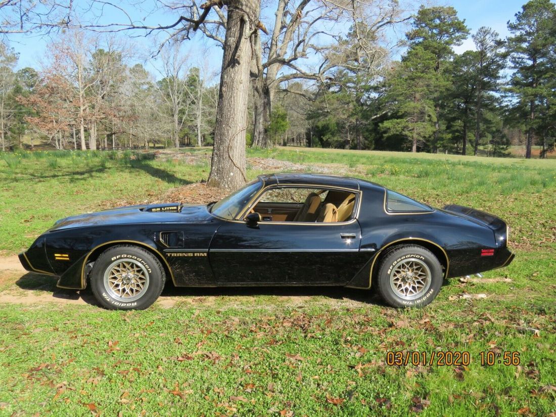 1979 Pontiac Trans Am Firebird - photo 2