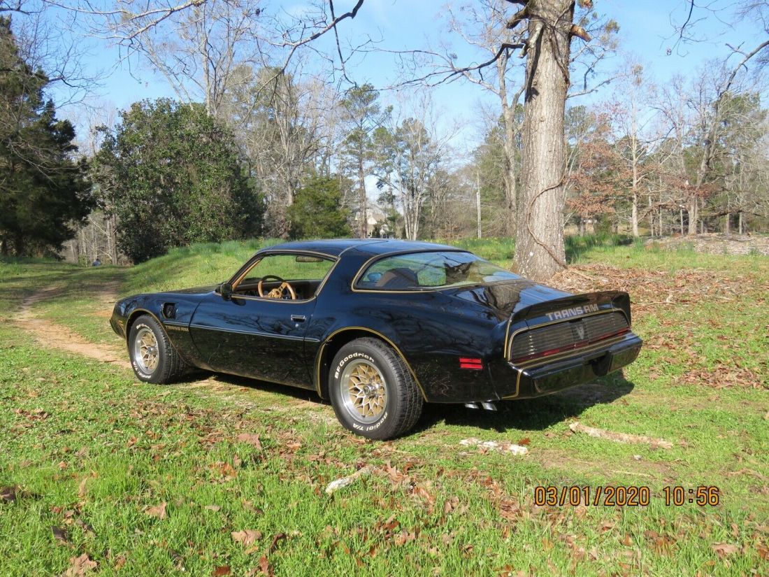 1979 Pontiac Trans Am Firebird - photo 3