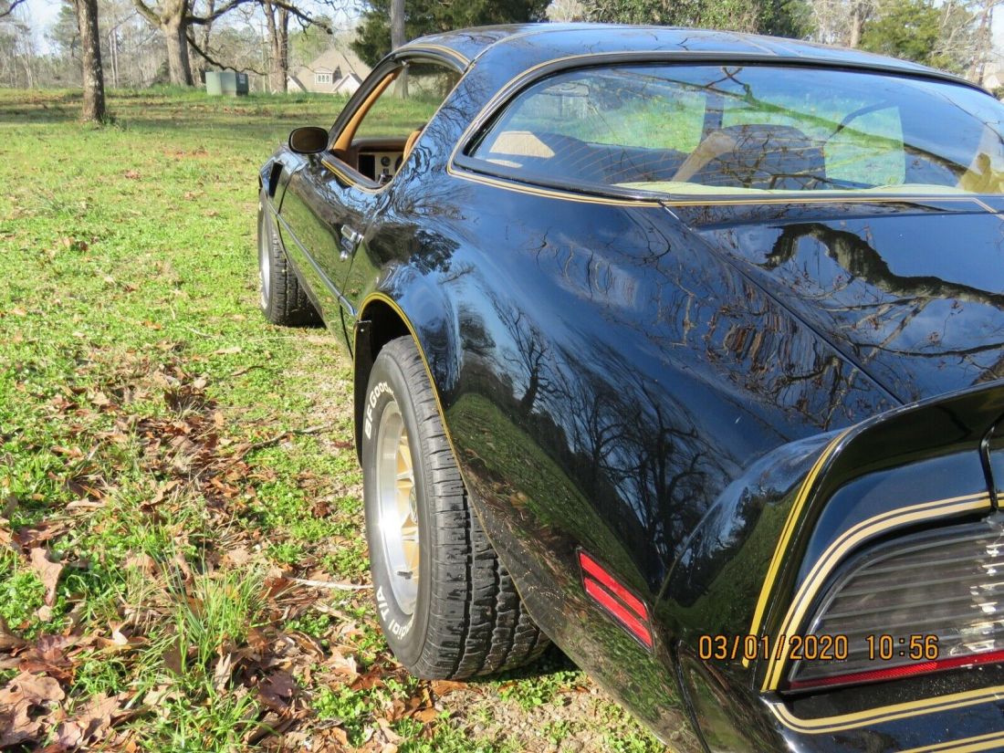 1979 Pontiac Trans Am Firebird - photo 4