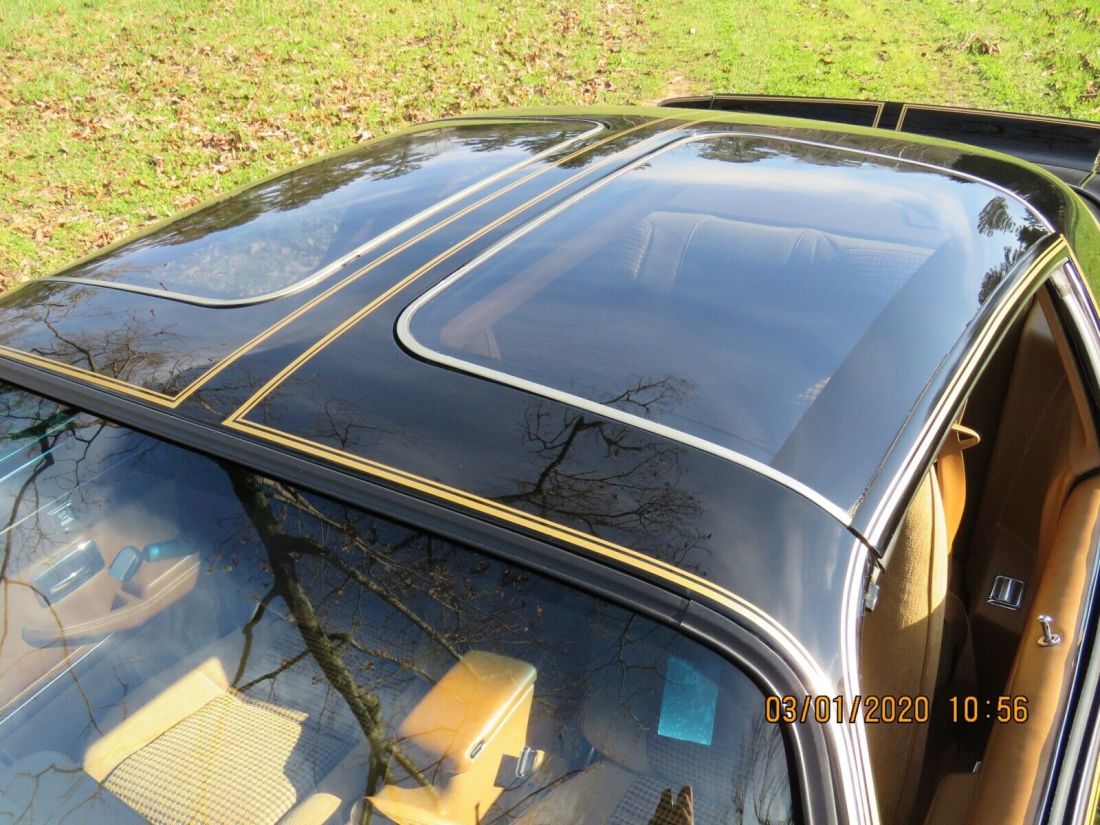 1979 Pontiac Trans Am Firebird - photo 5