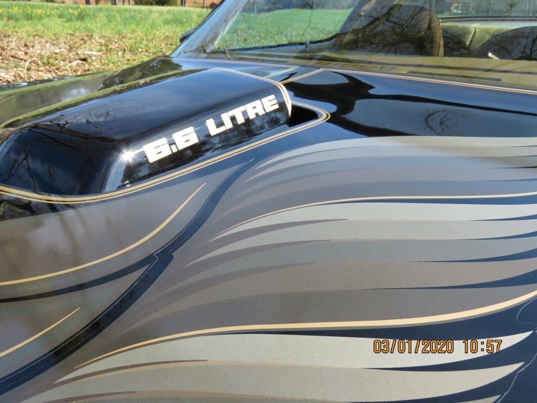 1979 Pontiac Trans Am Firebird - photo 6