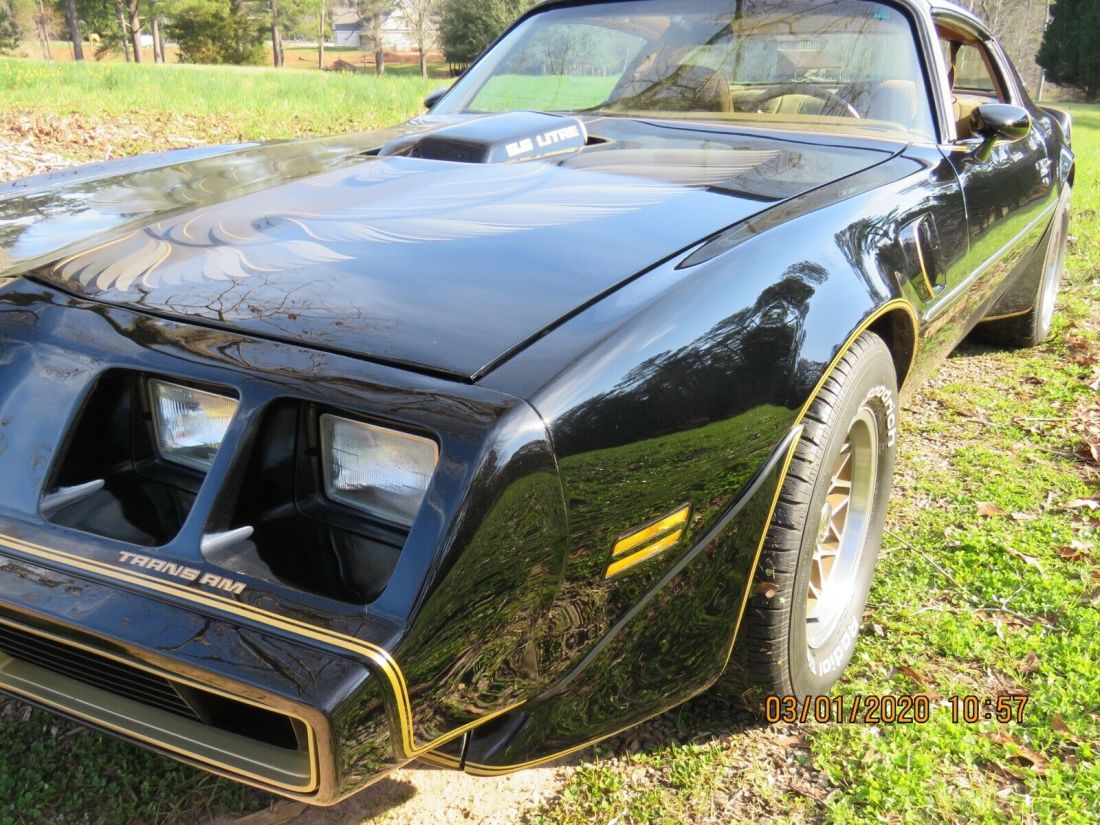 1979 Pontiac Trans Am Firebird - photo 7