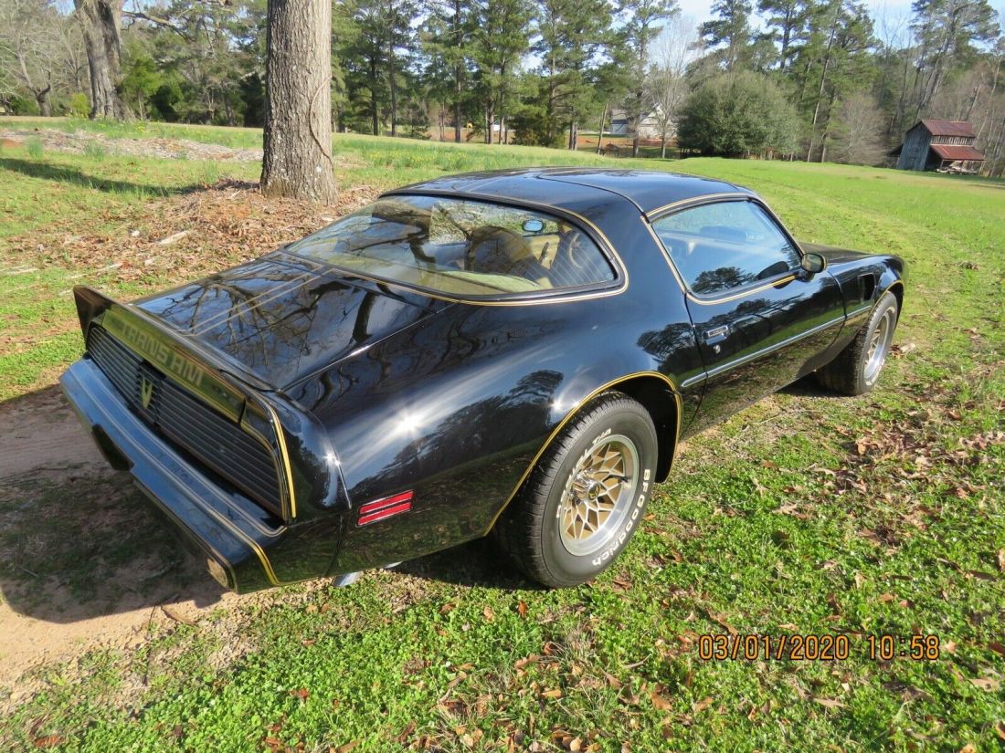 1979 Pontiac Trans Am Firebird - photo 8