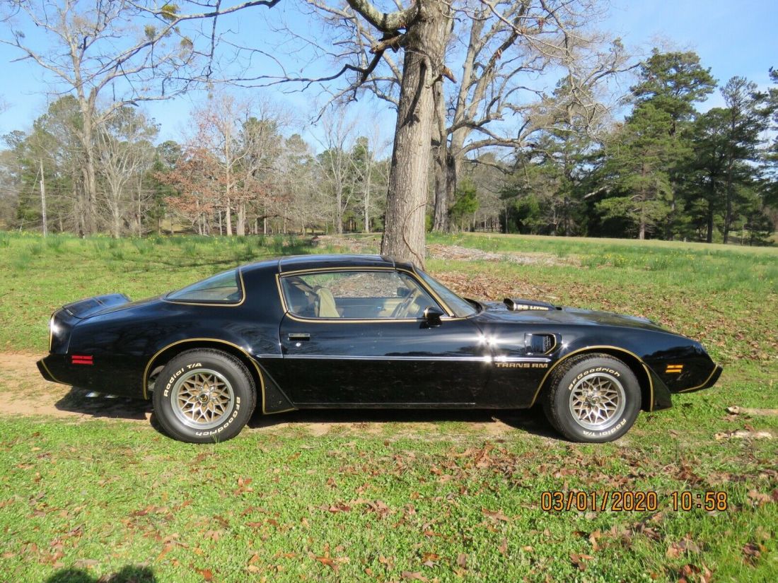 1979 Pontiac Trans Am Firebird - photo 9
