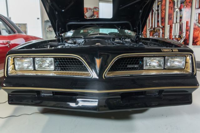 1977 Pontiac Firebird Trans Am - photo 8