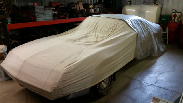 1979 Pontiac Trans Am 10th Anniversary - photo 2