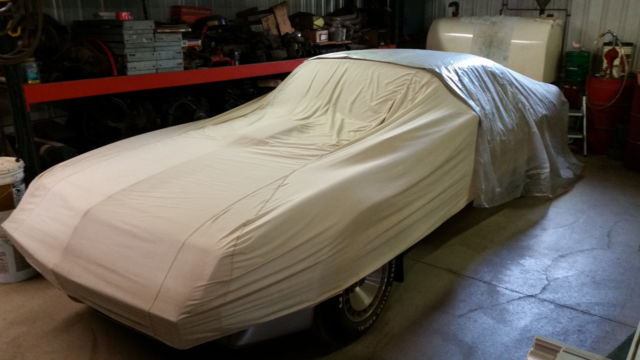 1979 Pontiac Trans Am 10th Anniversary - photo 3