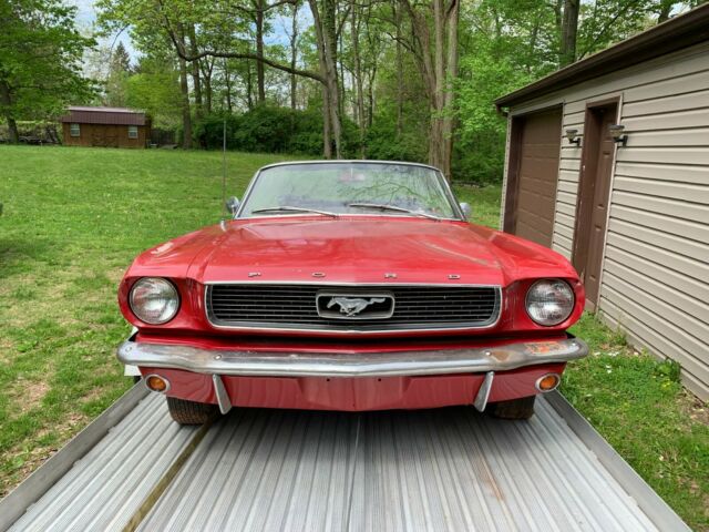 Barn Find 1966 Mustang Convertible V-8 Candy Apple Red Barn find 1966 Ford Mustang CONVERTIBLE