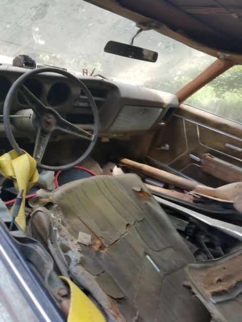 1969 Pontiac Le Mans - photo 7