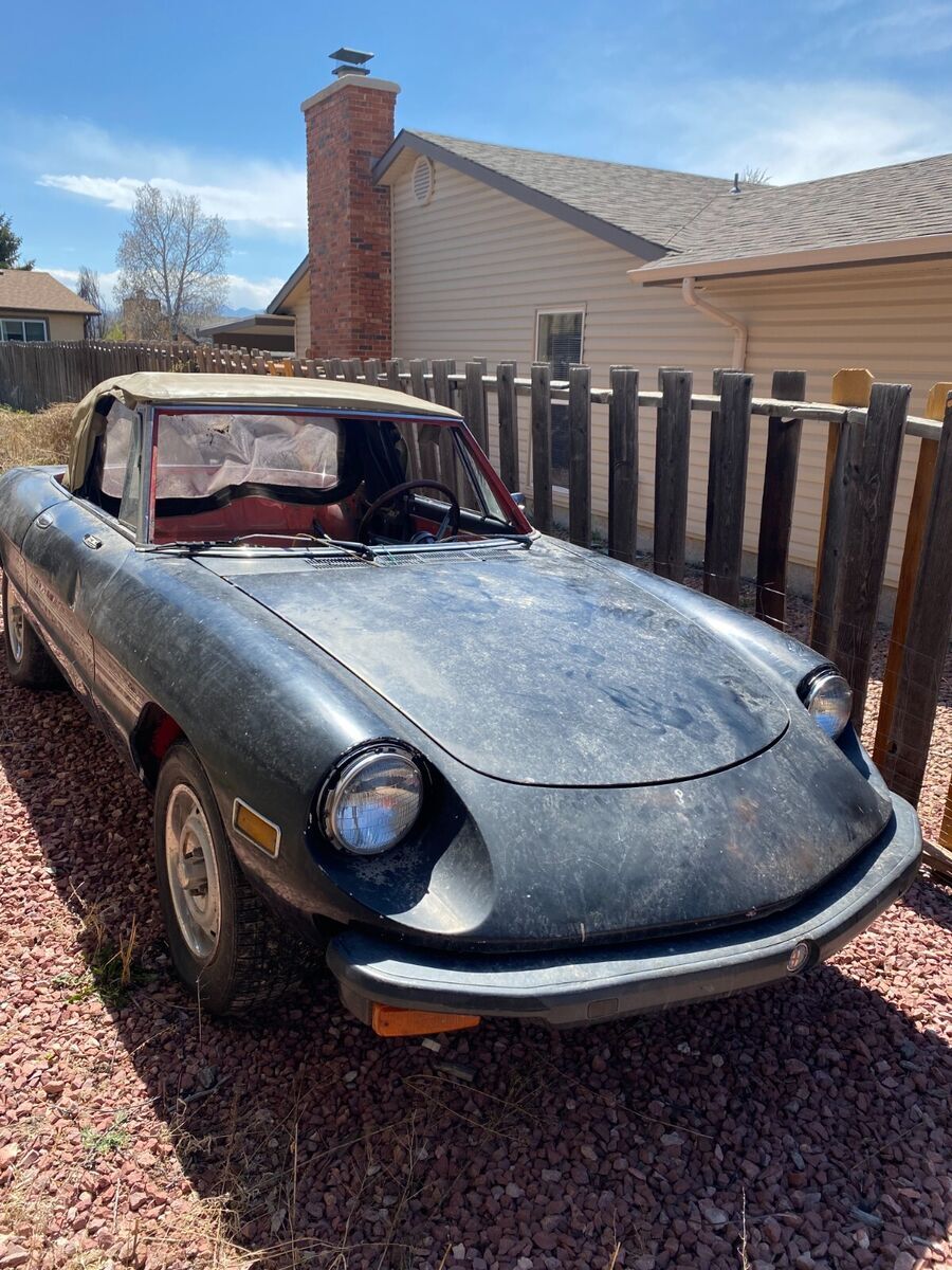 1977 Alfa Romeo Spider - photo 2