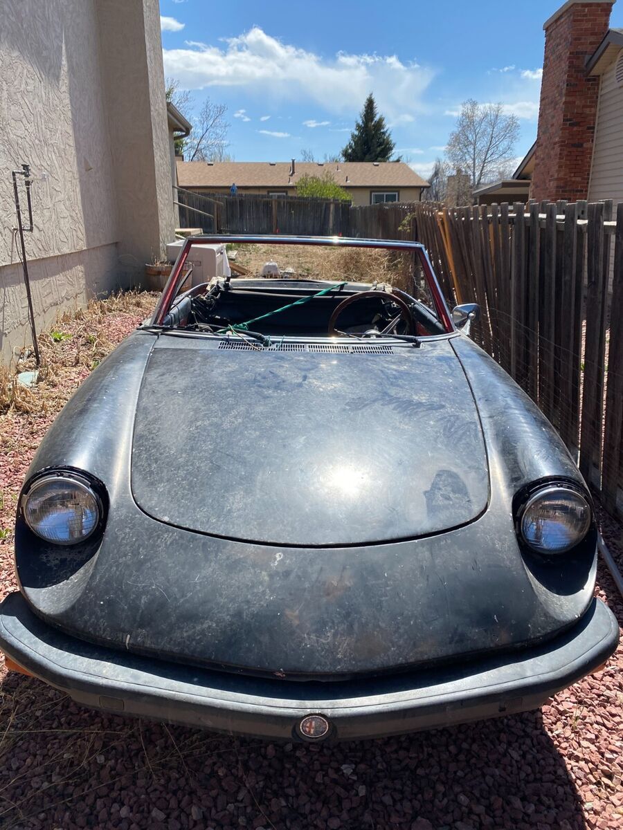 1977 Alfa Romeo Spider - photo 3