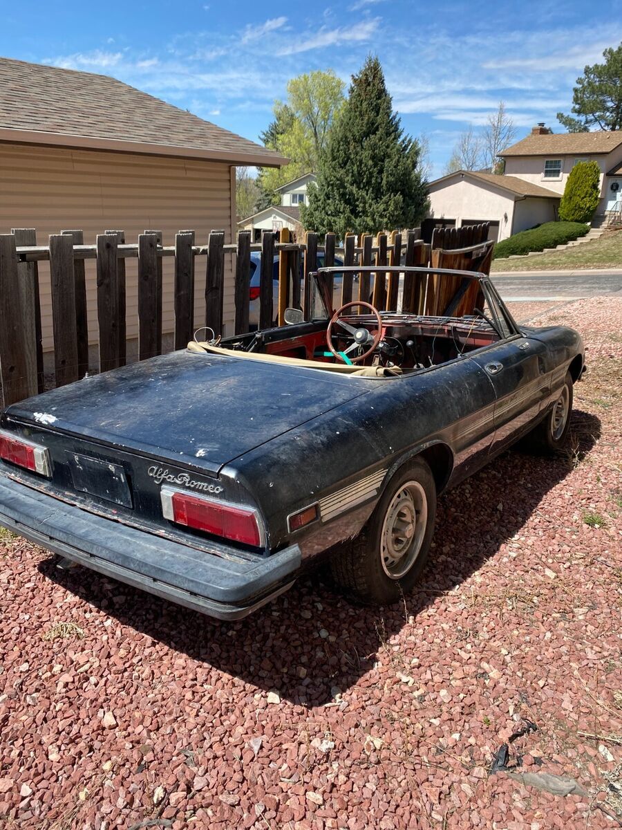 1977 Alfa Romeo Spider - photo 4