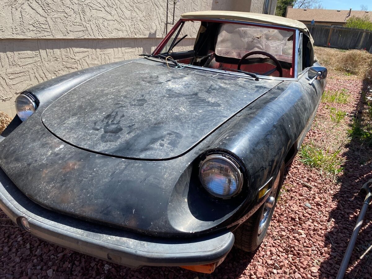 1977 Alfa Romeo Spider - photo 6