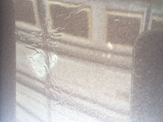 1972 Rolls-Royce Silver Shadow - photo 7