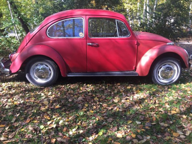 1966 Volkswagen Beetle - Classic - photo 2