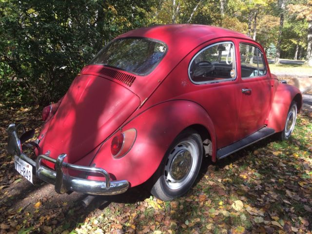 1966 Volkswagen Beetle - Classic - photo 3