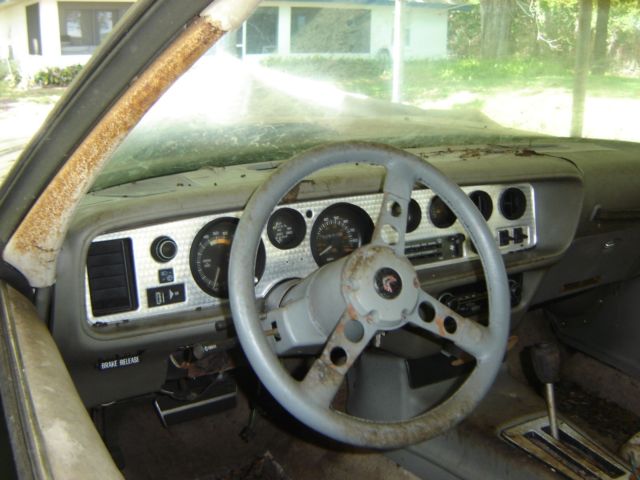 1980 Pontiac Trans Am - photo 10