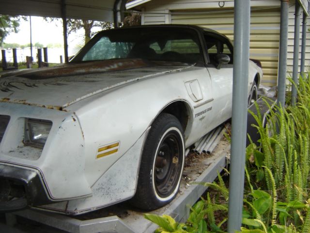 1980 Pontiac Trans Am - photo 2