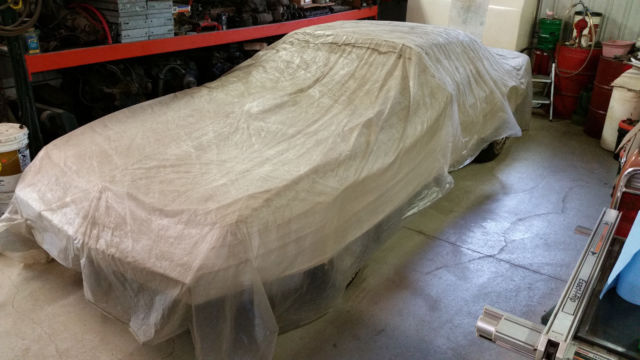 1979 Pontiac Trans Am BARN FIND - 2000 MILES - photo 2