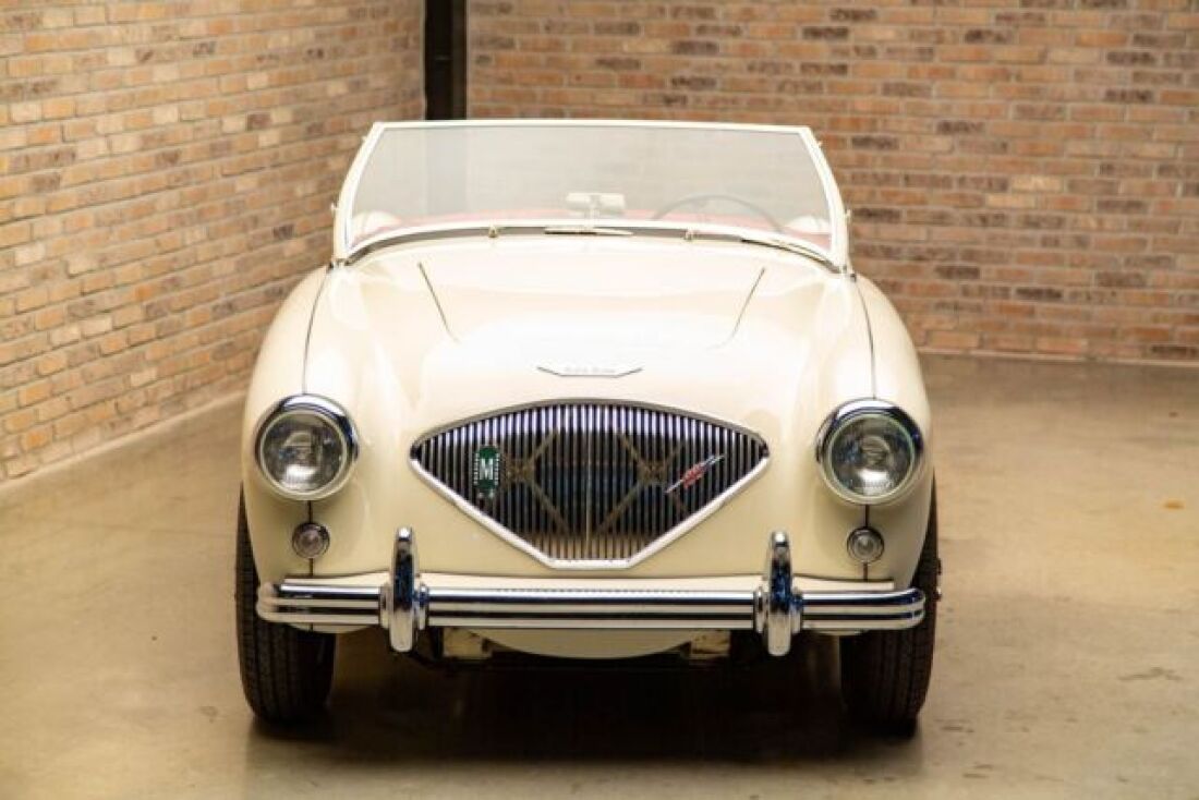 1954 Austin Healey 100-4 - photo 3