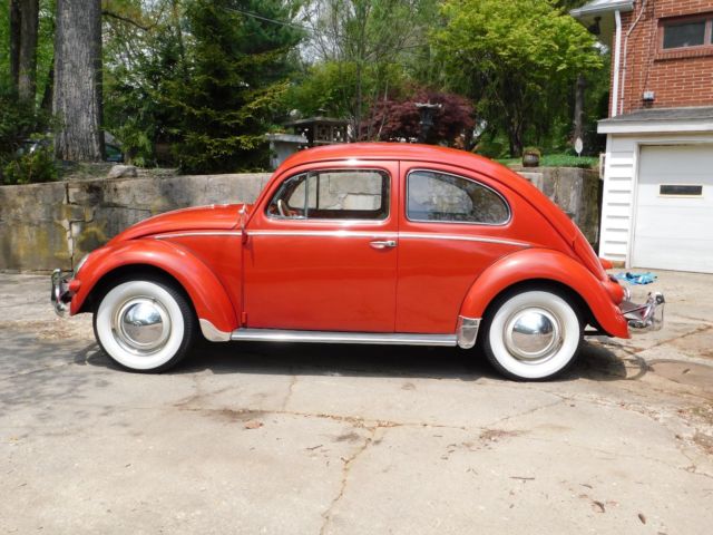 1956 Volkswagen Beetle - Classic Beetle / Bug - photo 5