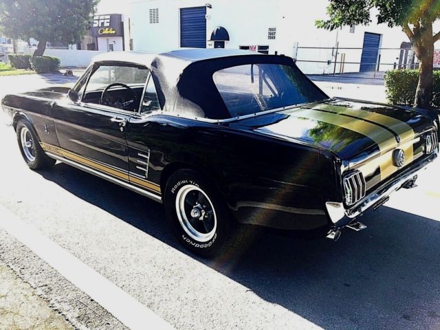 1966 Ford Mustang "C" Code Shelby GT350H Package - photo 6