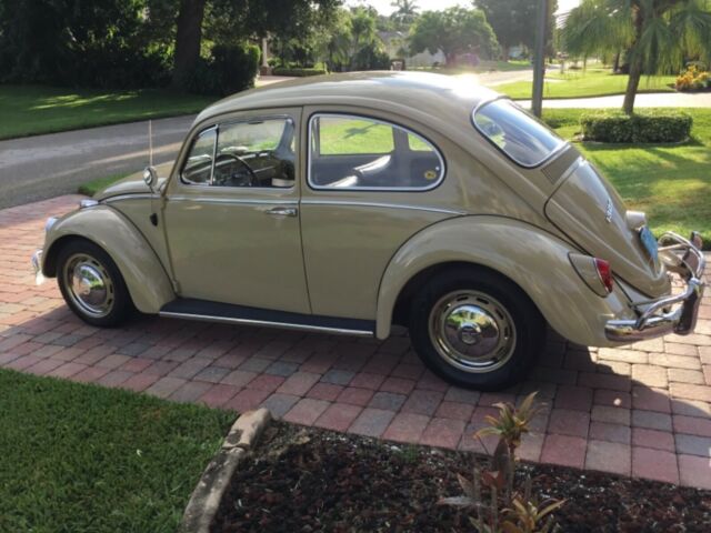 1966 Volkswagen Beetle - Classic - photo 7