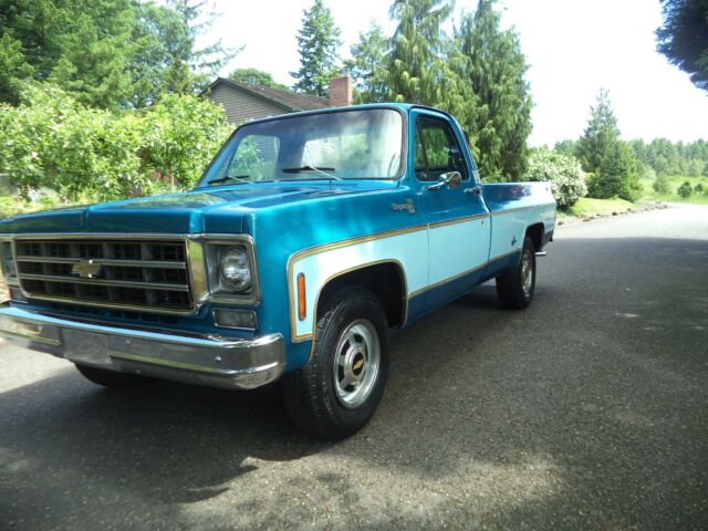 1977 Chevrolet C/K Pickup 2500 Cheyenne 20 Camper Special - photo 3