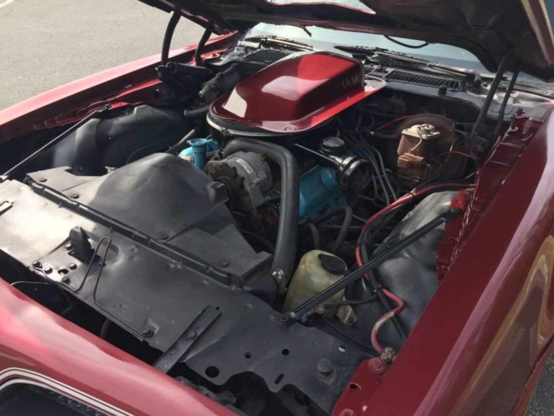 1977 Pontiac Firebird Trans Am - photo 10