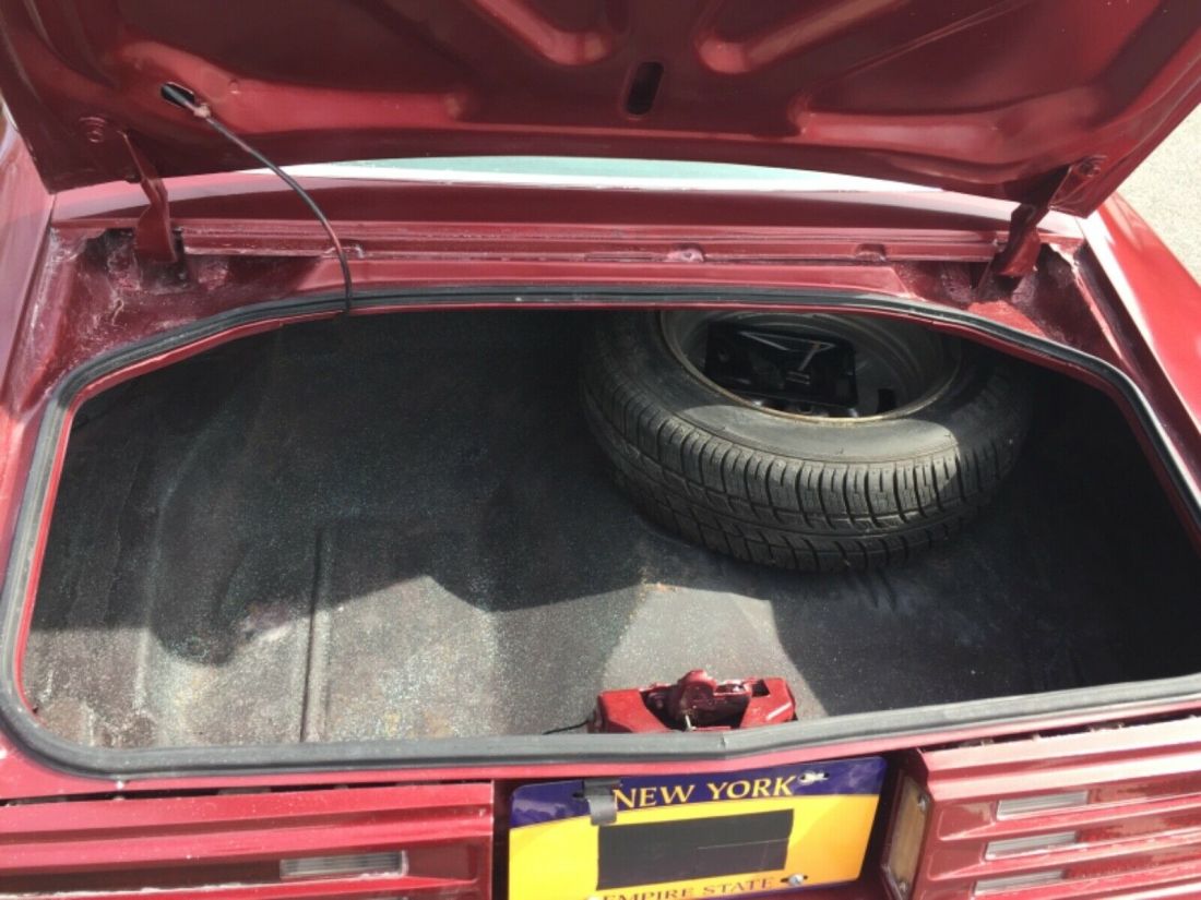 1977 Pontiac Firebird Trans Am - photo 12