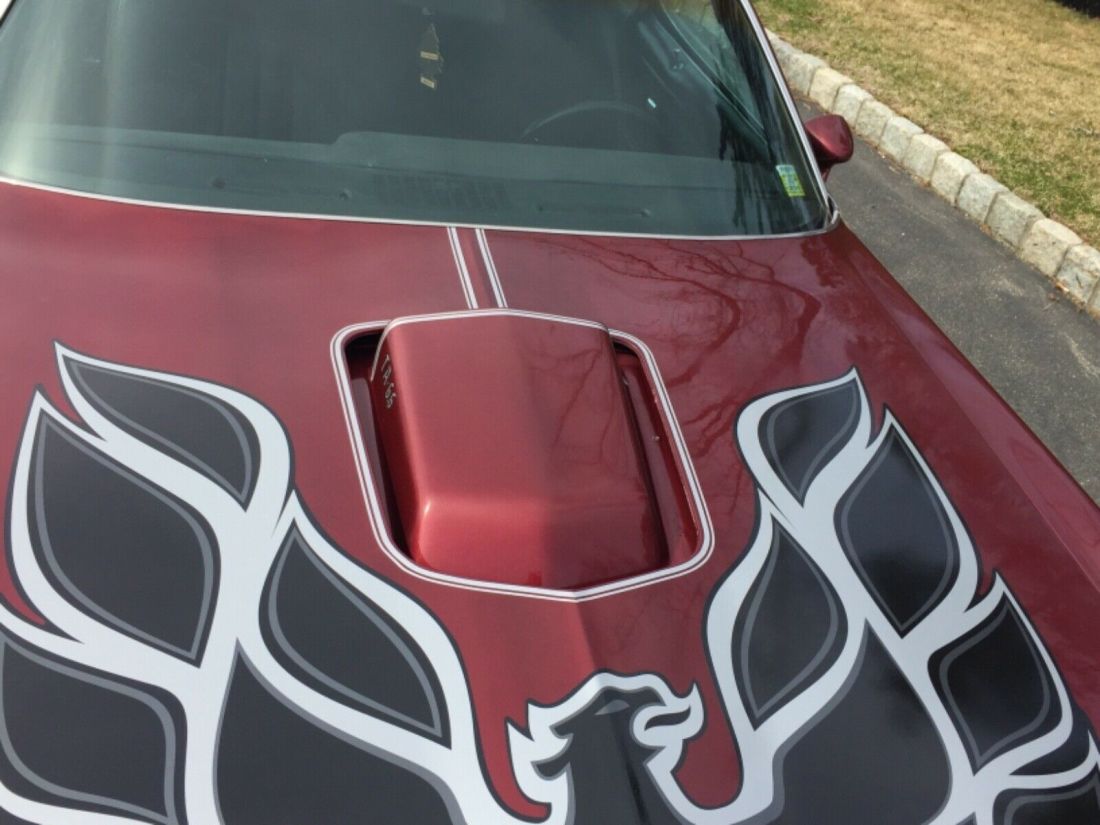 1977 Pontiac Firebird Trans Am - photo 2