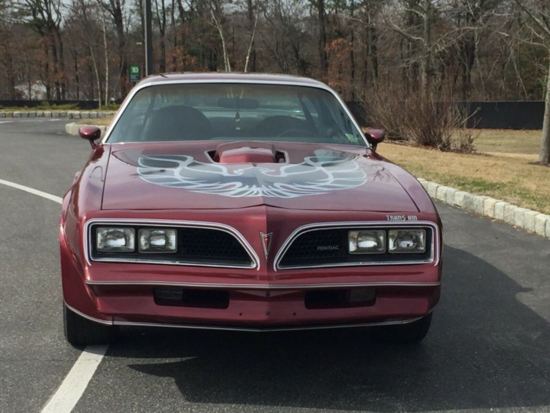 1977 Pontiac Firebird Trans Am - photo 3