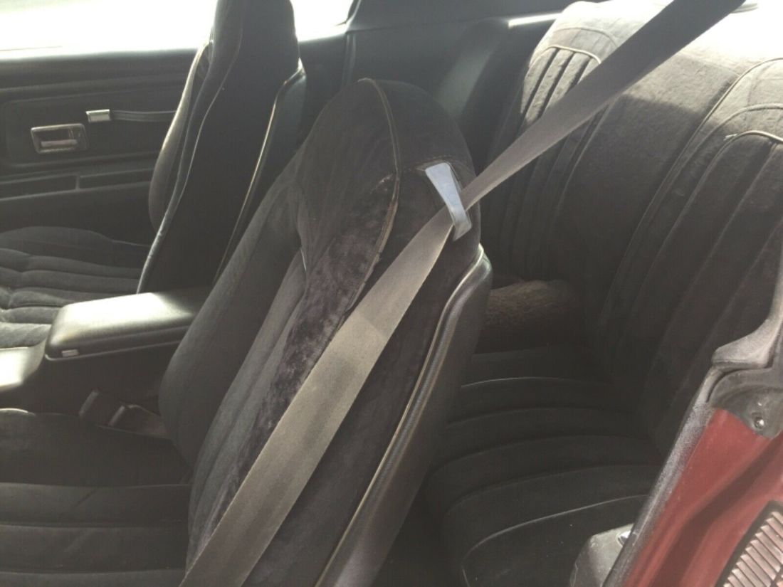 1977 Pontiac Firebird Trans Am - photo 9