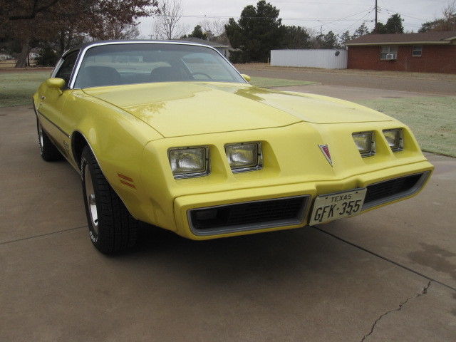 1979 Pontiac Firebird - photo 7