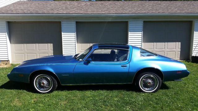 1980 Pontiac Firebird STRIPED - photo 7