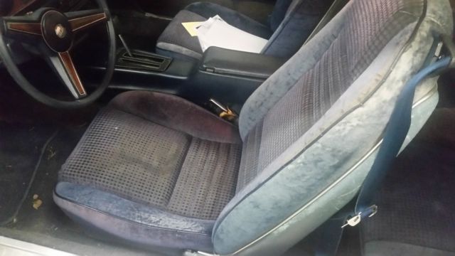 1980 Pontiac Firebird STRIPED - photo 8