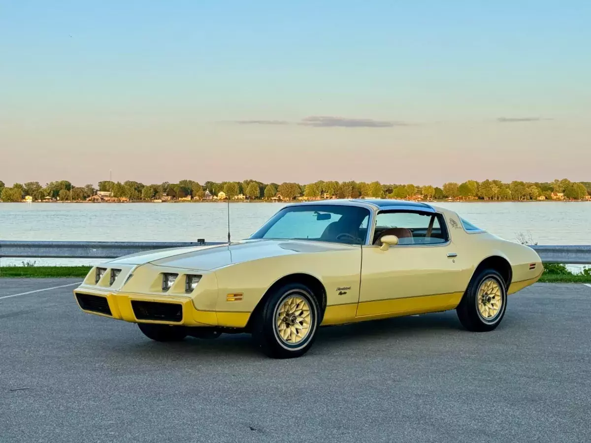 BEAUTIFUL 1980 PONTIAC FIREBIRD YELLOW BIRD T-TOPS VERY ORIGINAL- NO RESERVE 1980 Pontiac Firebird Yellow Bird Edition Very Original - No Reserve!!