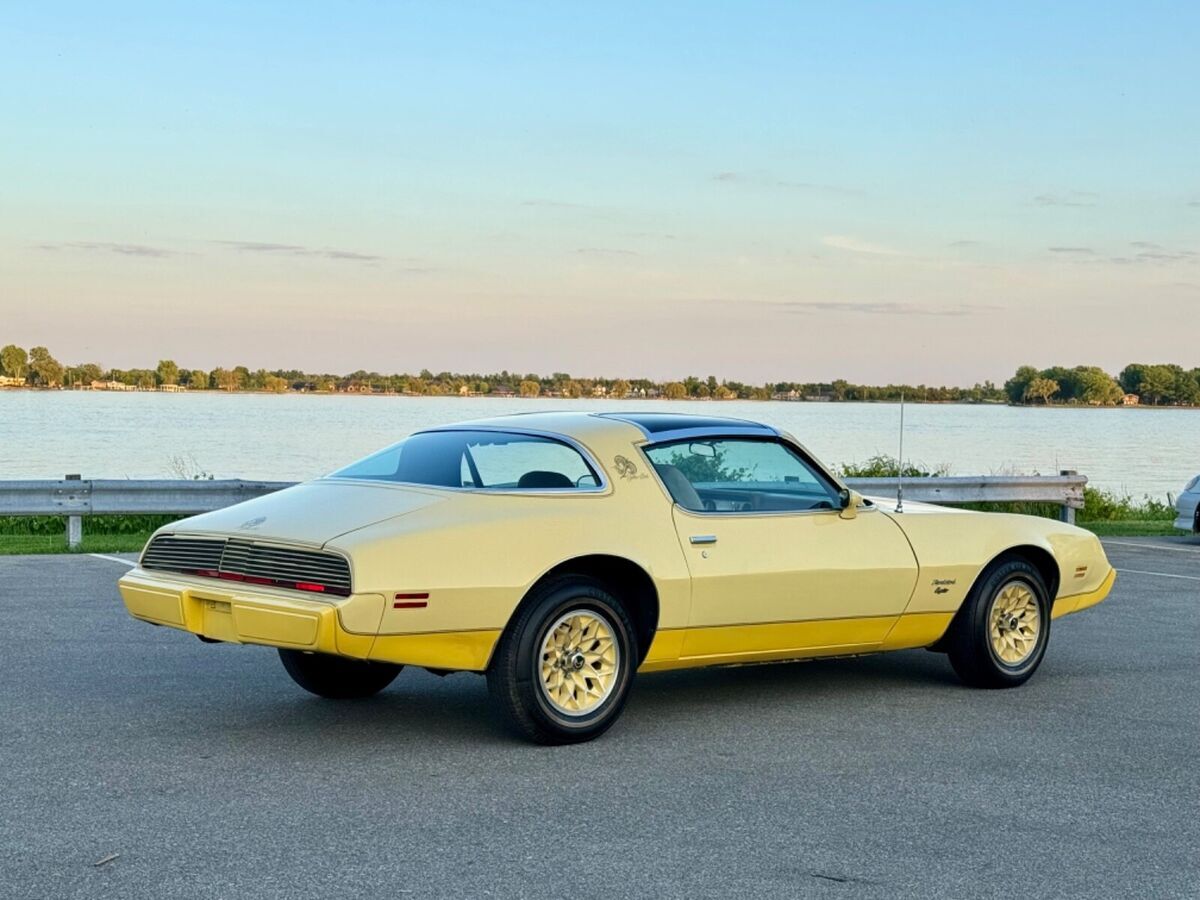 1980 Pontiac Firebird Yellow Bird Edition Very Original - No Reserve!! - photo 4