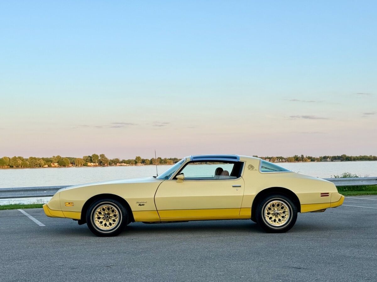 1980 Pontiac Firebird Yellow Bird Edition Very Original - No Reserve!! - photo 5