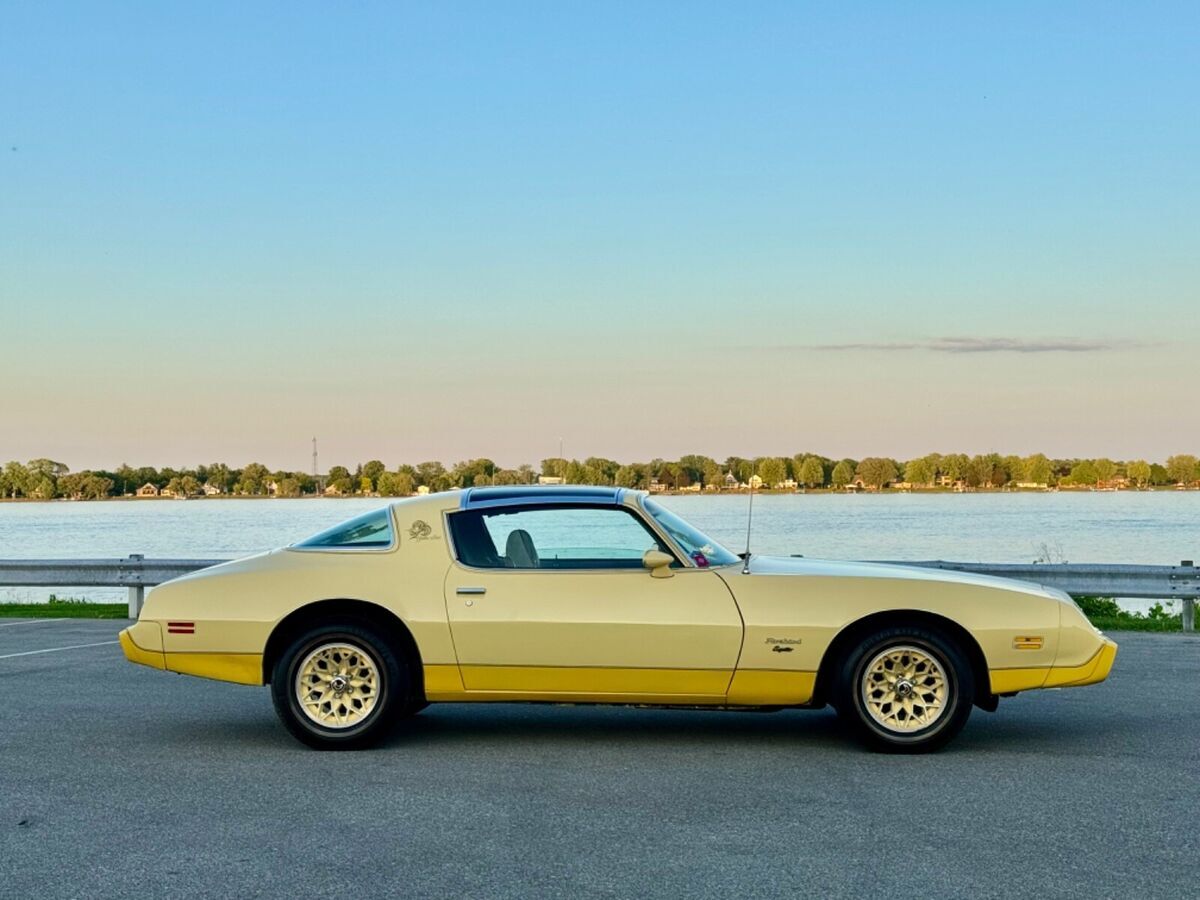 1980 Pontiac Firebird Yellow Bird Edition Very Original - No Reserve!! - photo 7