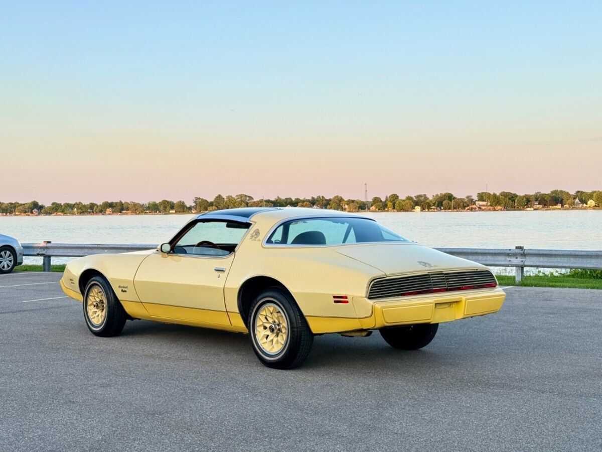 1980 Pontiac Firebird Yellow Bird Edition Very Original - No Reserve!! - photo 8