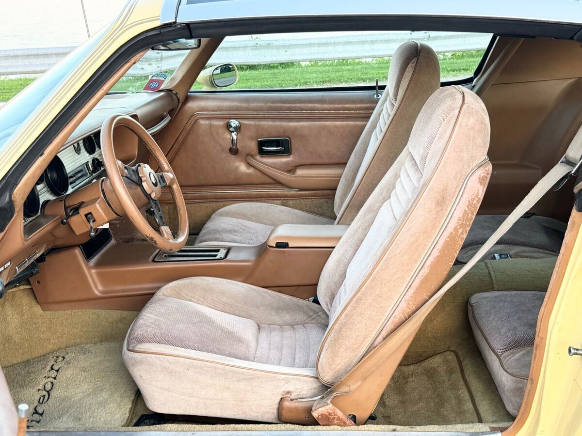 1980 Pontiac Firebird Yellow Bird Edition Very Original - No Reserve!! - photo 9
