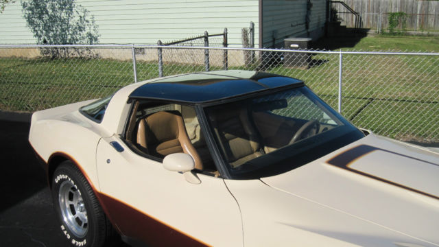 1981 Chevrolet Corvette 2-Door Coupe - photo 10