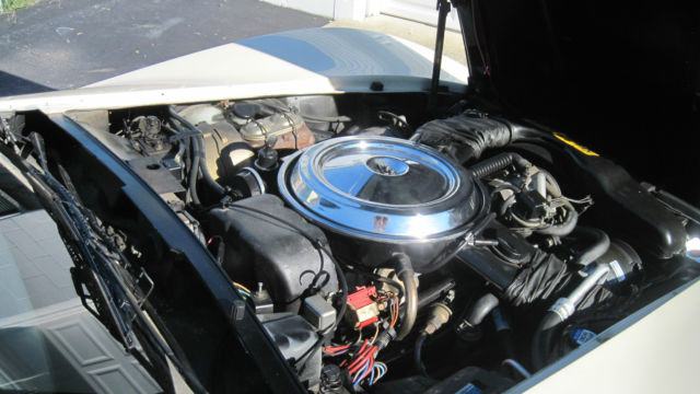 1981 Chevrolet Corvette 2-Door Coupe - photo 12